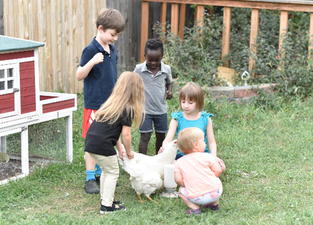 Children help with the farm animals at Amy Rogge's practice.