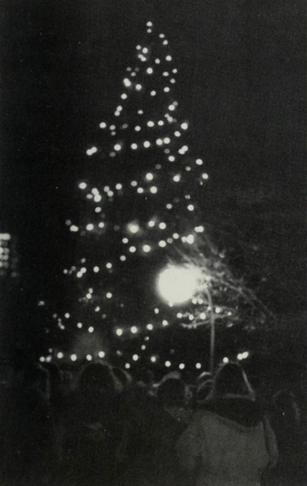 Students watch the Christmas tree lighting.