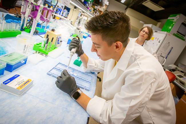 Neurosciences undergraduate student Aiden Chavez conducts research.