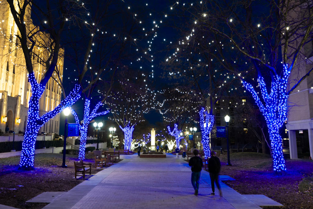 Christmas lights on the Mall