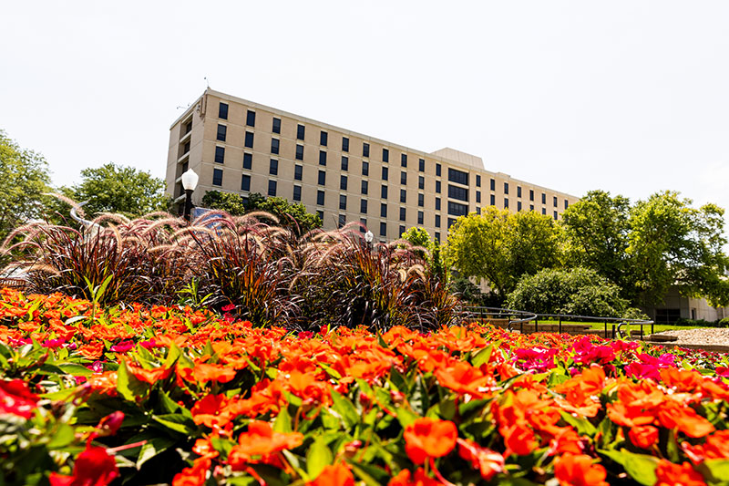 Summer flowers by Swanson Hall