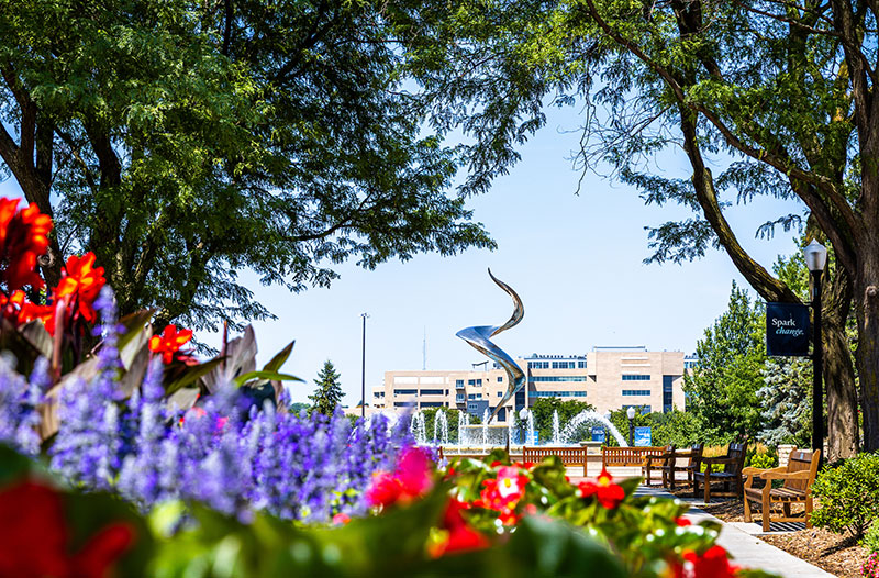 Summer flowers in front of fountain