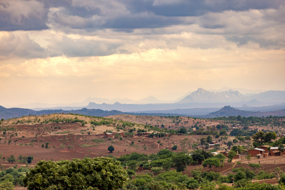 Image from the Africa delegation.