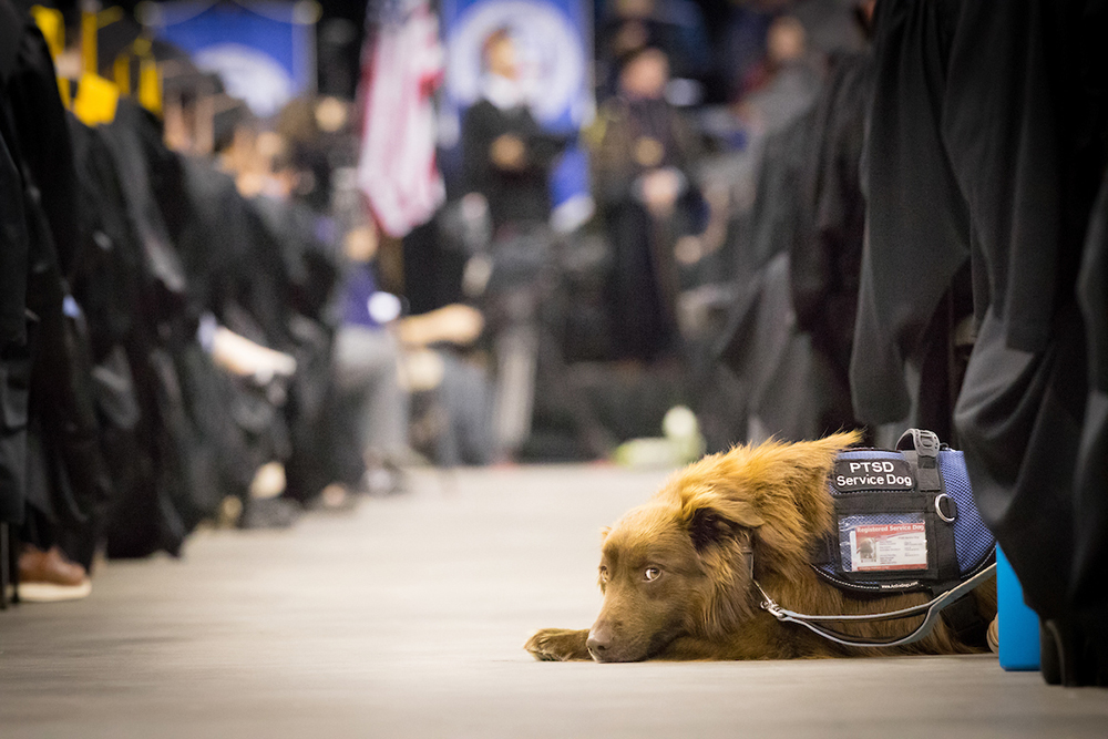 Image of Creighton graduation from the 2010s.