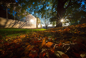 Sun shines through the trees at Creighton.