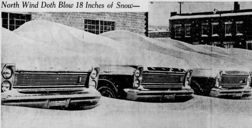 Cars covered in snow