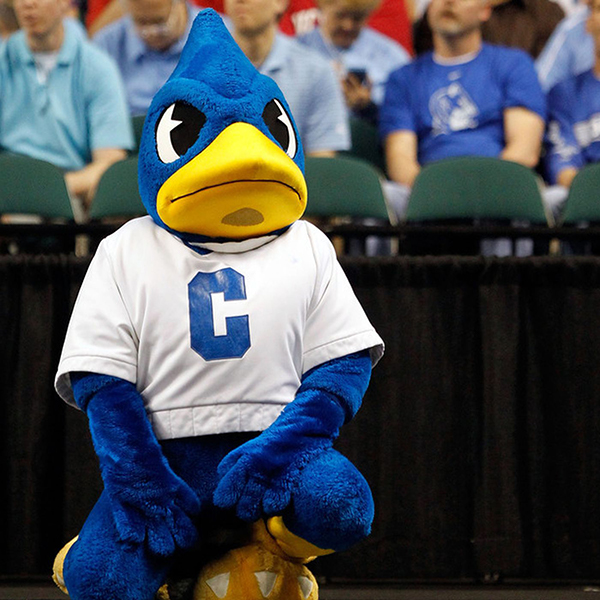 The evolution of the Billy Bluejay mascot costume University