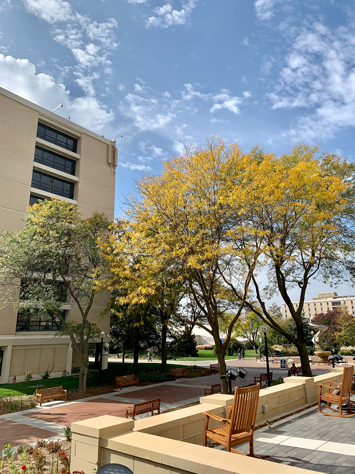 fall foliage from the Creighton Hall patio