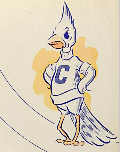 Old illustration of Billy Bluejay