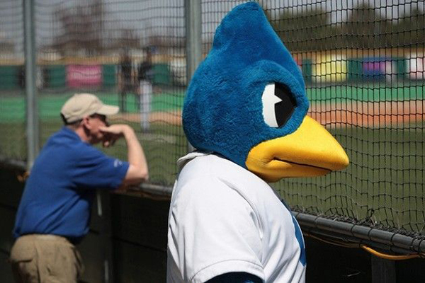 Billy Bluejay Creighton Bluejays Mascot Bobblehead (Presale