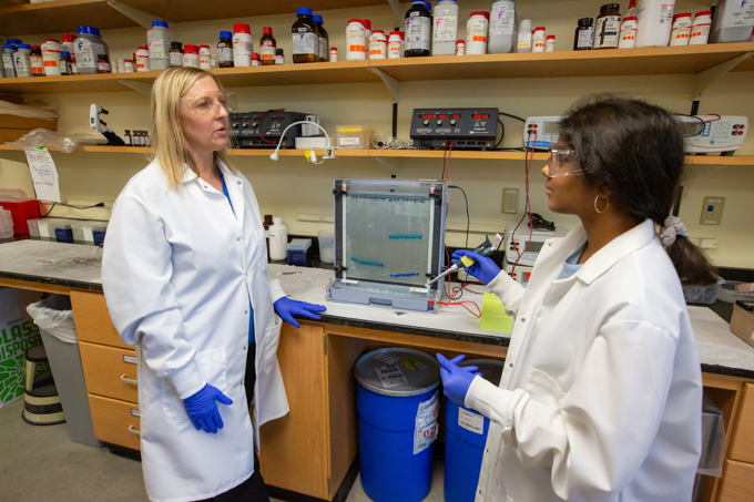 This summer, Julie Strauss-Soukup, left, is mentoring Ferlic fellow and College of Arts and Sciences junior Anjali Jayan.