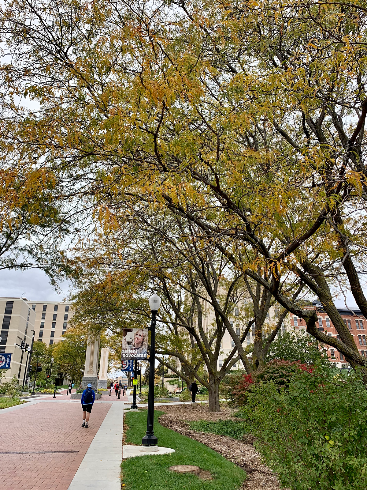 fall foliage on the Mall by 24th Street