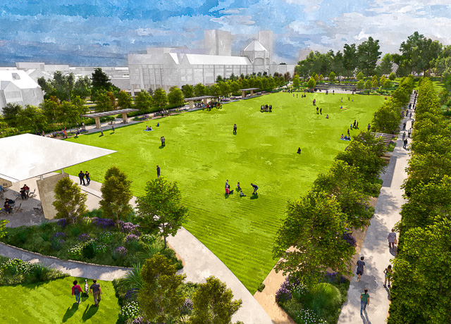 Rendering of the Quad