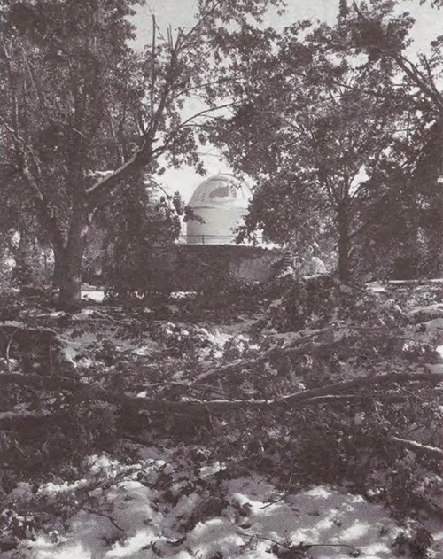 Trees down at observatory