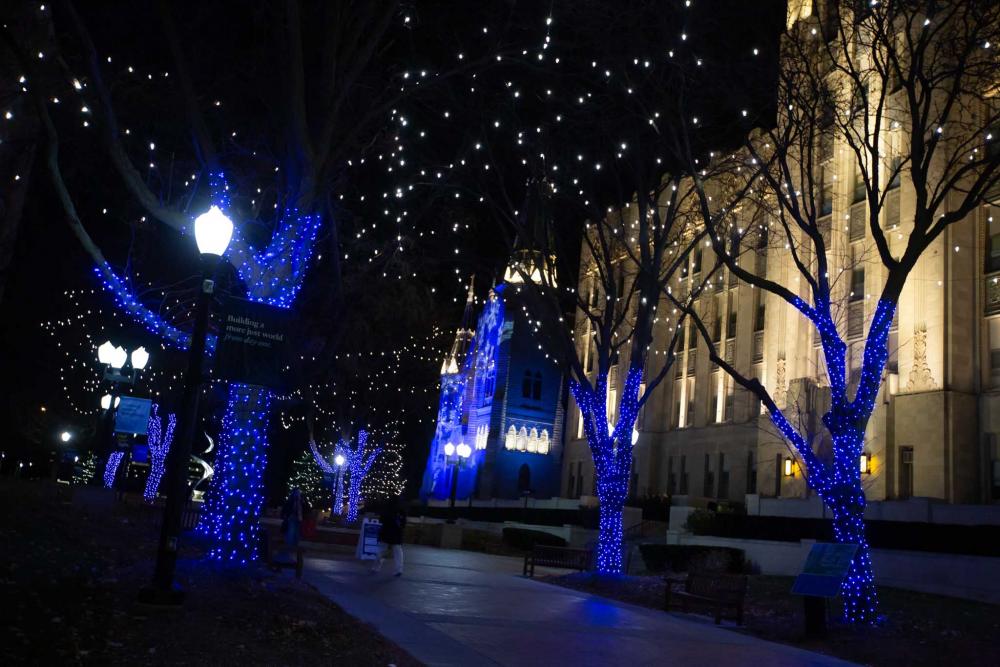 Christmas lights on trees on campus