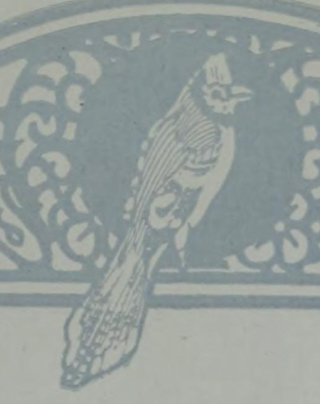 What the first Creighton Bluejay looked like in 1924.