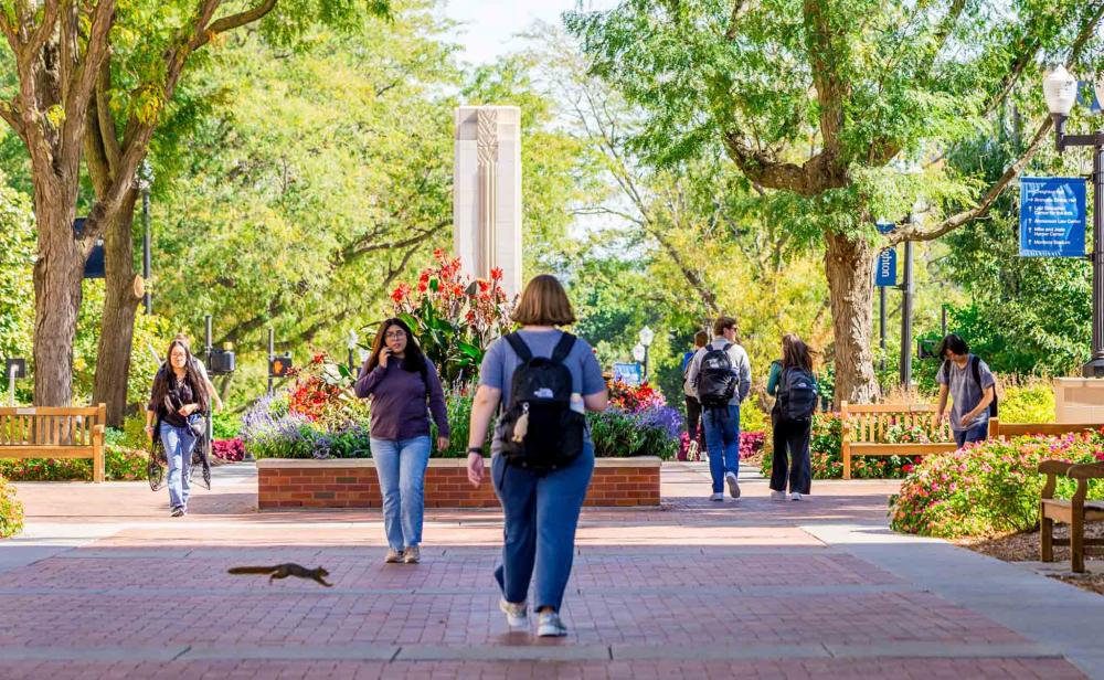 A squirrel runs across a sidewalk