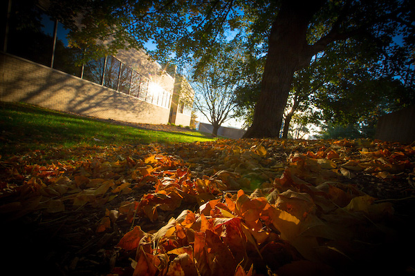 Image of campus in the fall
