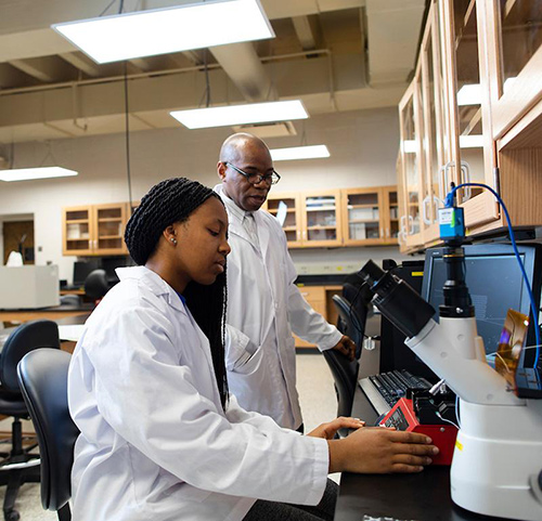 Faculty and student conducting research.