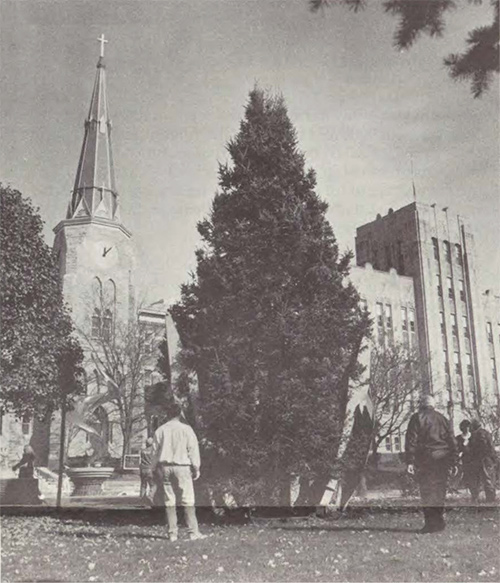 The Christmas tree being installed in 1993. 