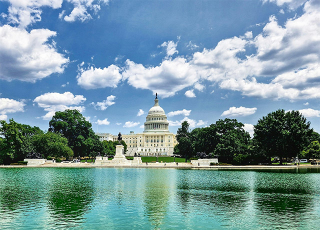 Washington D.C.