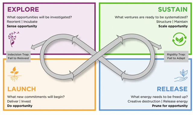 The adaptive cycle infographic The adaptive cycle infographic
