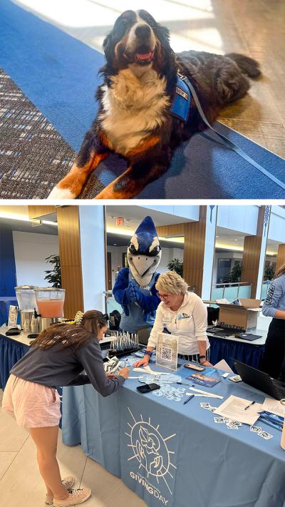 A photo of a dog and a photo of an event table