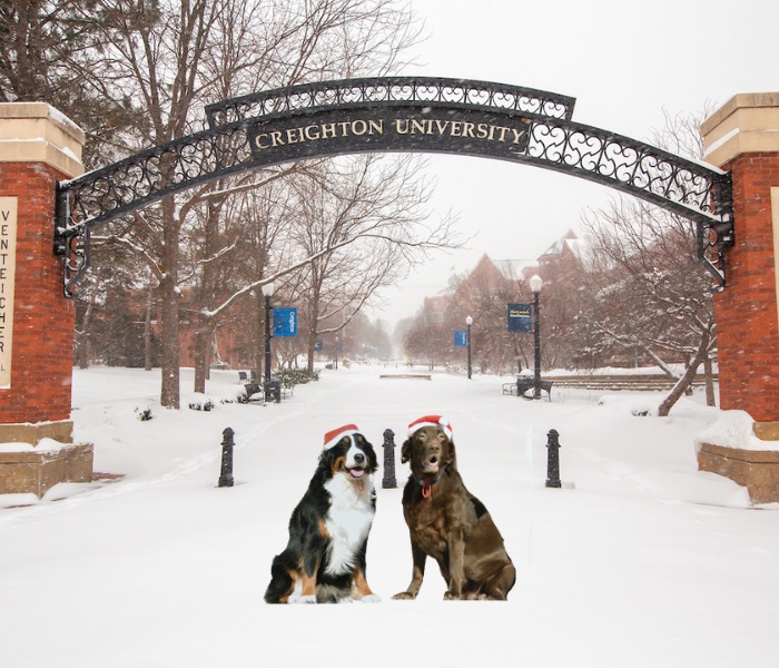 Cocoa and Ella in the snow