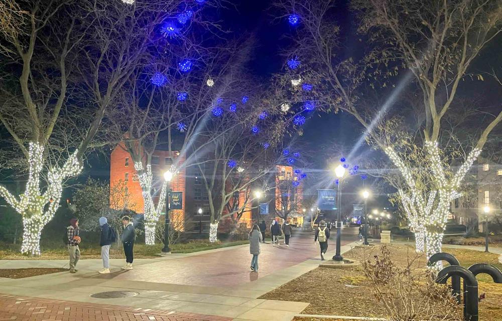 Christmas lights on trees on campus