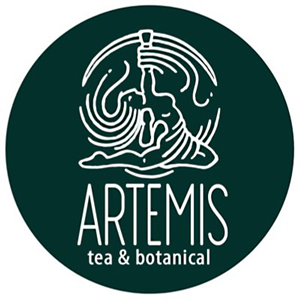 Artemis logo Artemis logo