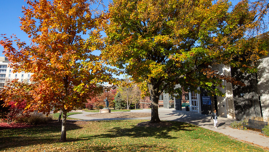 Images of Creightn taken during the fall of 2022, the trees' leaves showing the changing colors of the season.