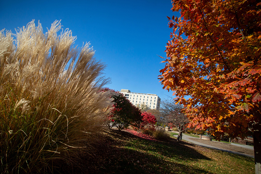 Images of Creightn taken during the fall of 2022, the trees' leaves showing the changing colors of the season.