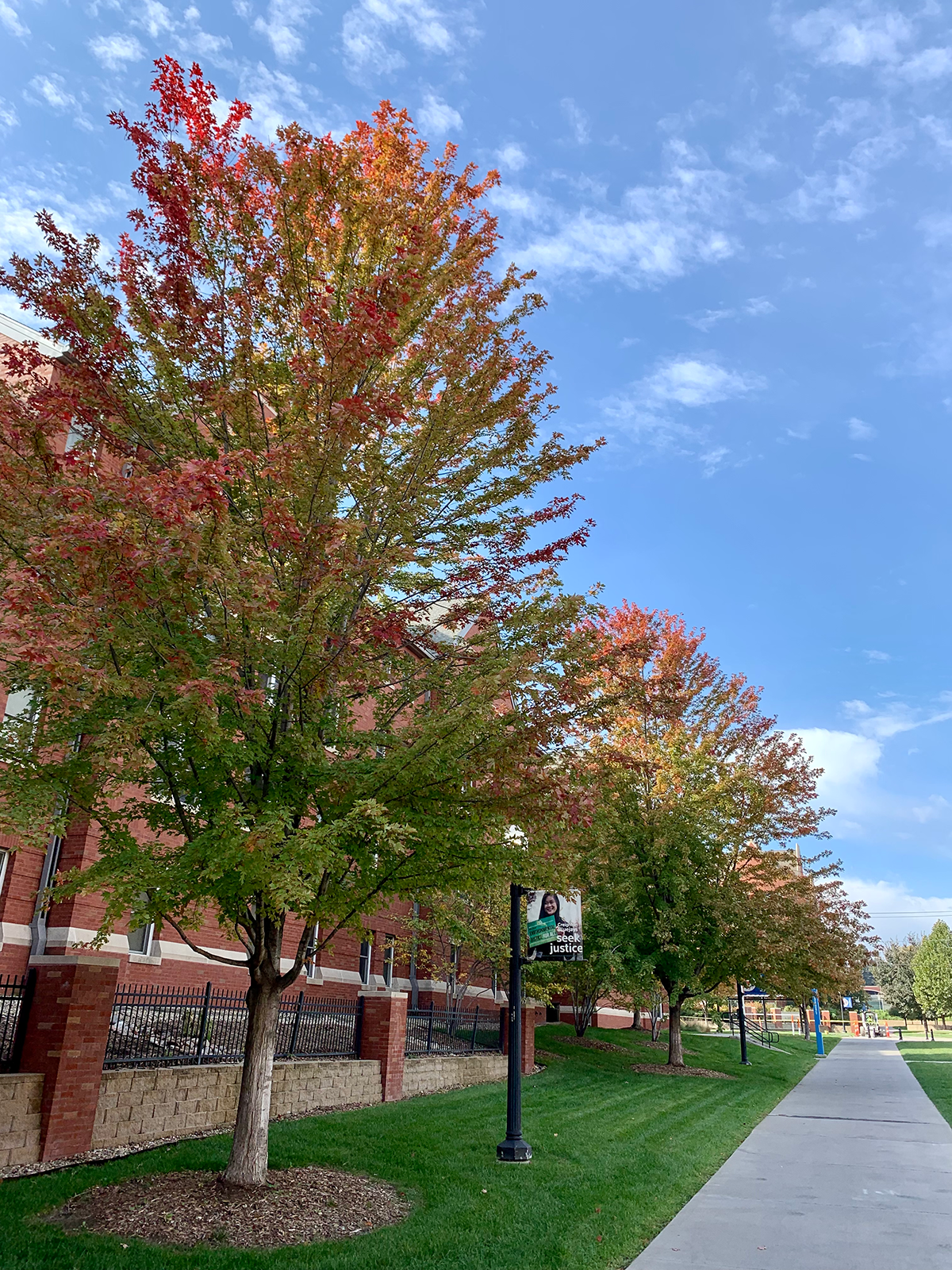 Fall foliage by Opus Hall
