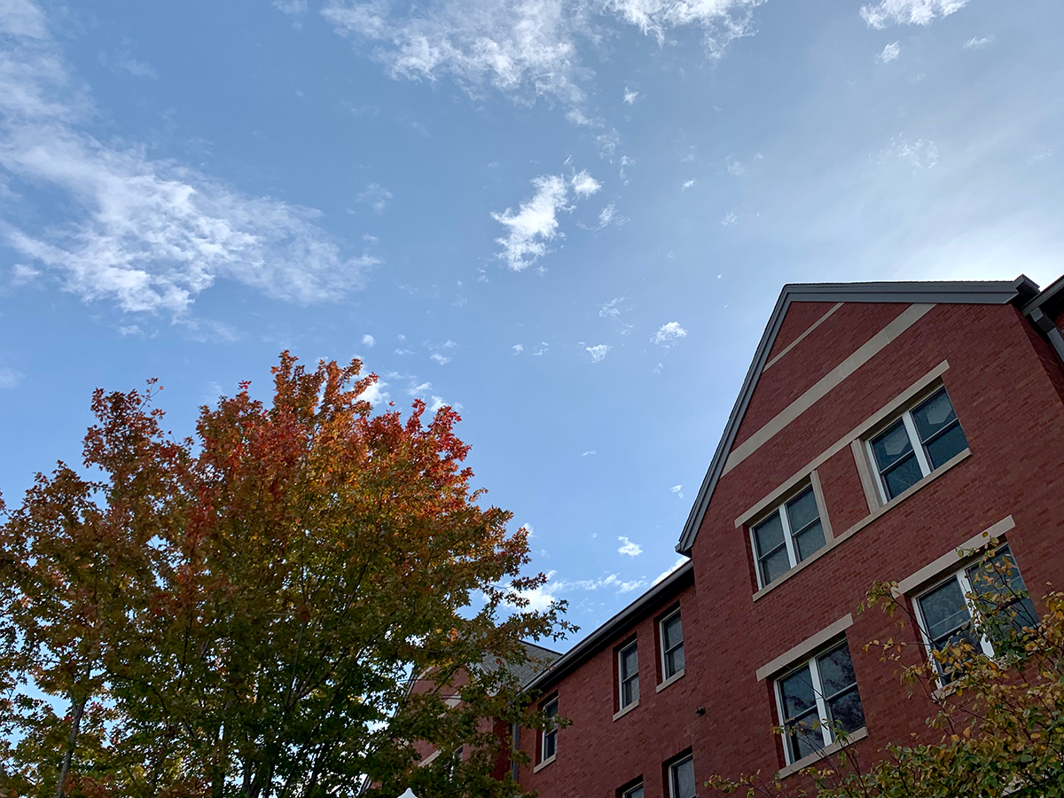fall foliage by Opus Hall