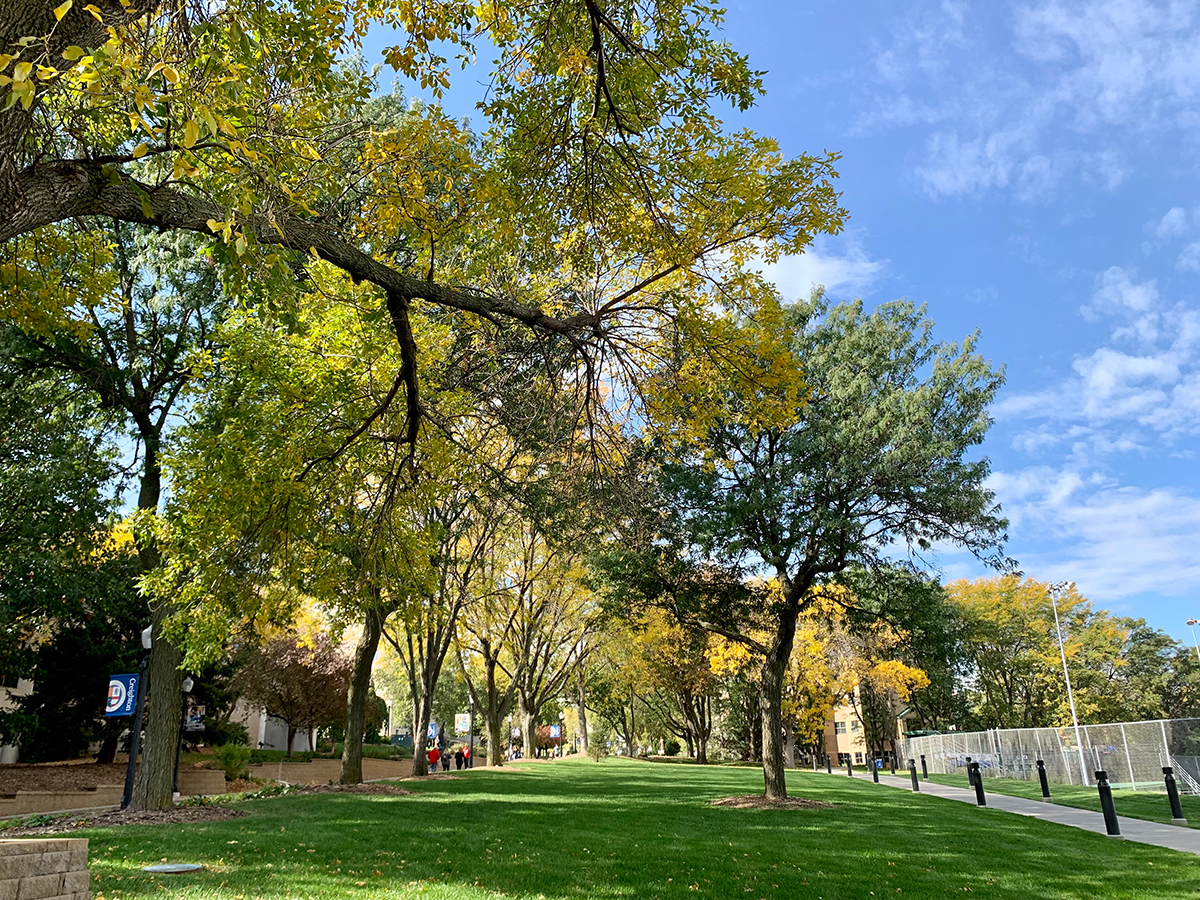 fall foliage by the Harper Center