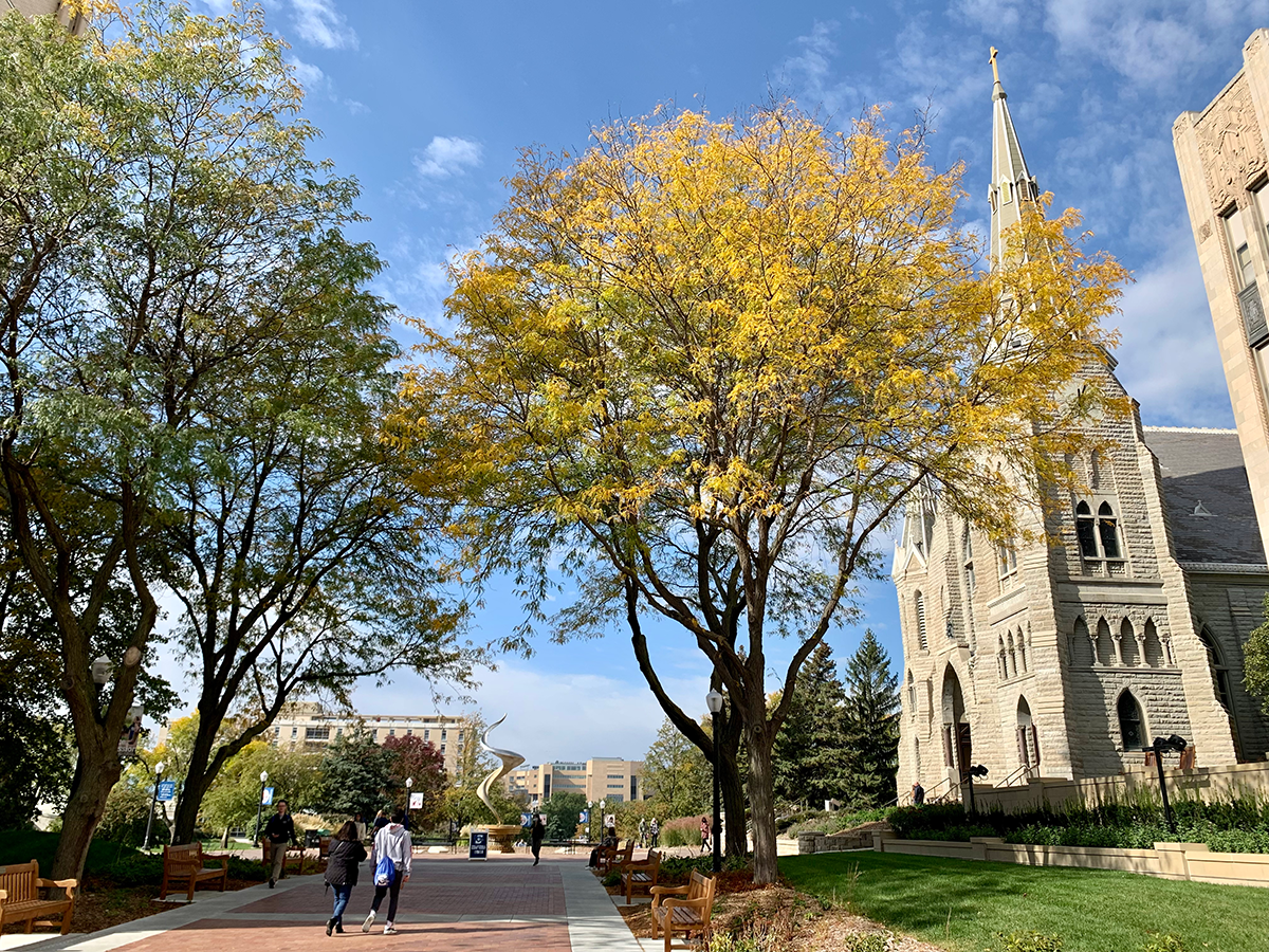 fall foliage by St. John's Church