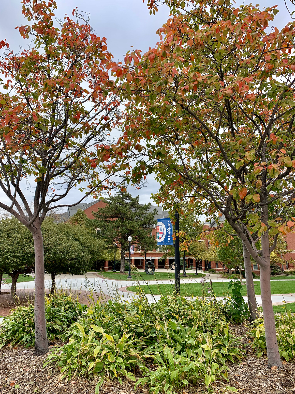 fall foliage between Davis and Harper