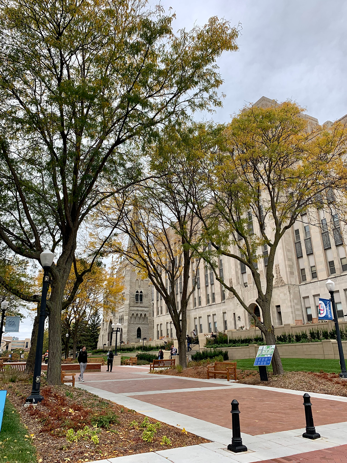 fall foliage by Deglman Square