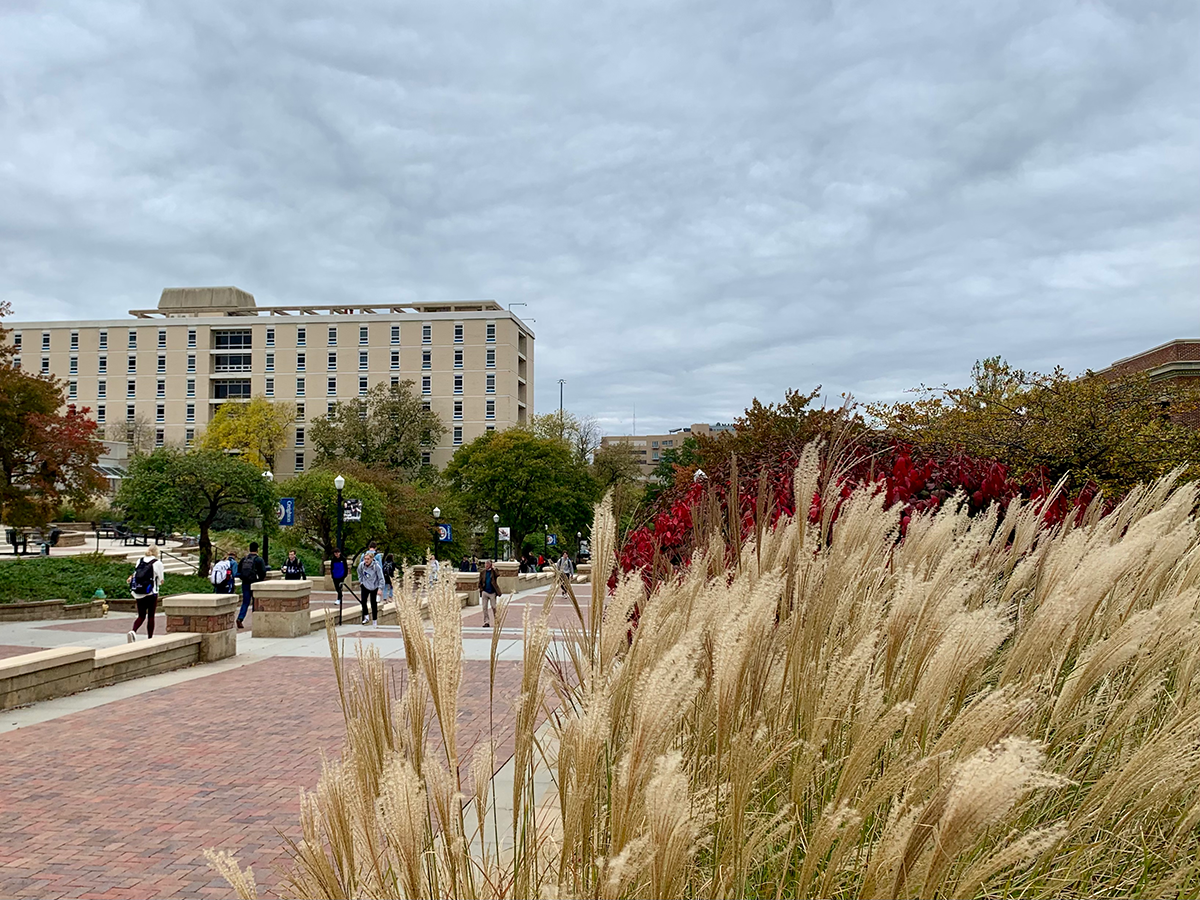 fall foliage on the Mall near the library