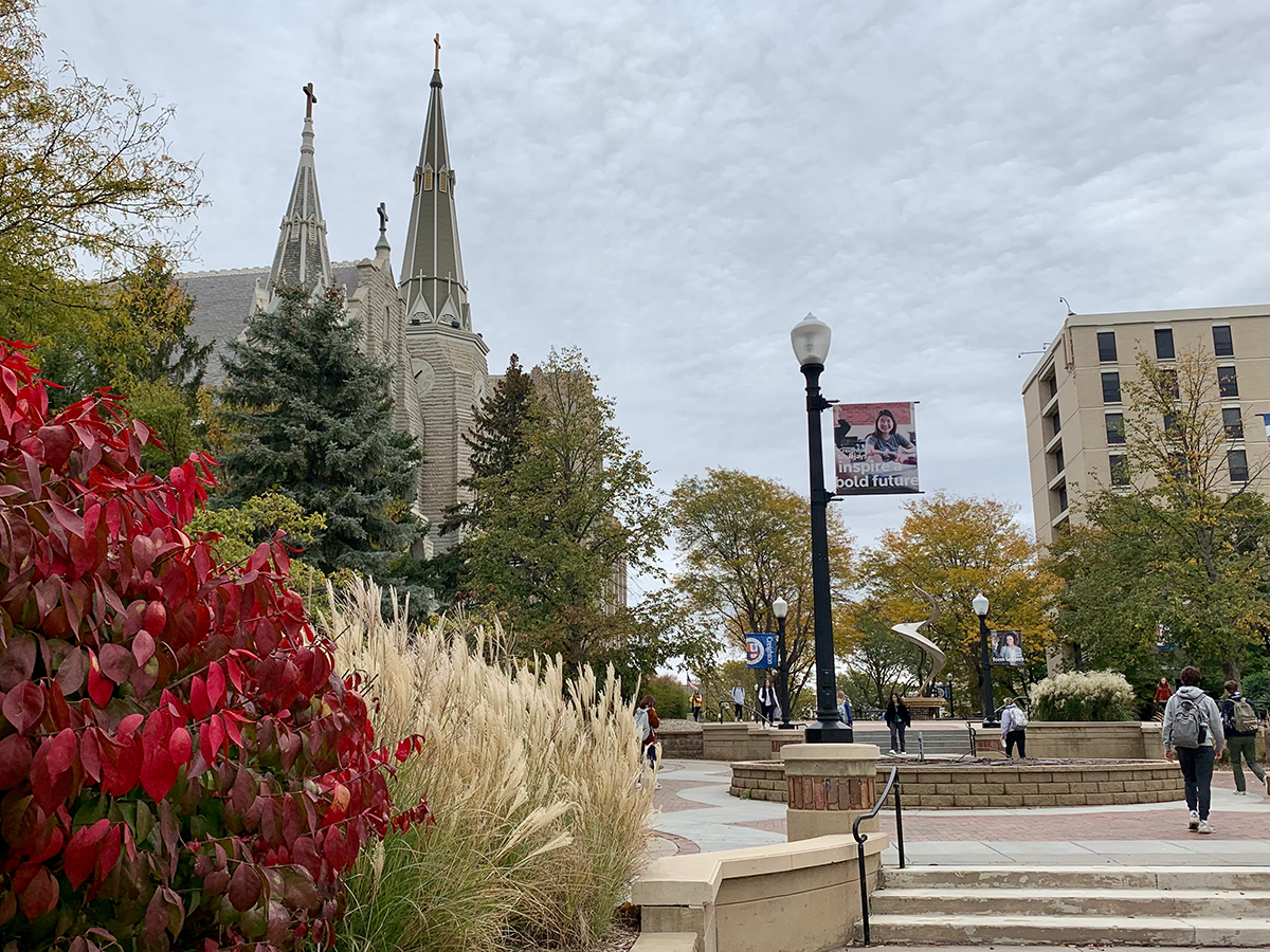 fall foliage on the Mall near St. John's