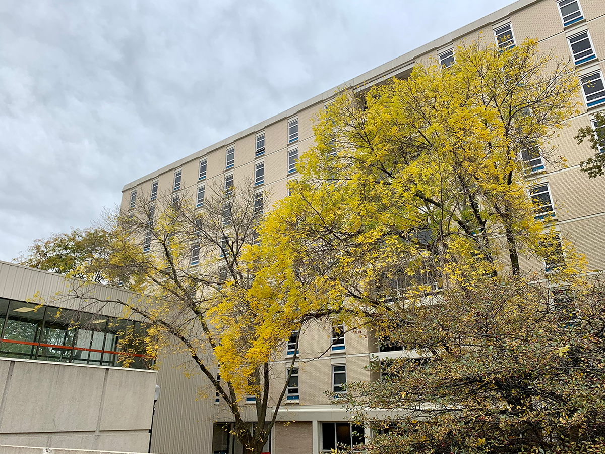 fall foliage by Kiewit