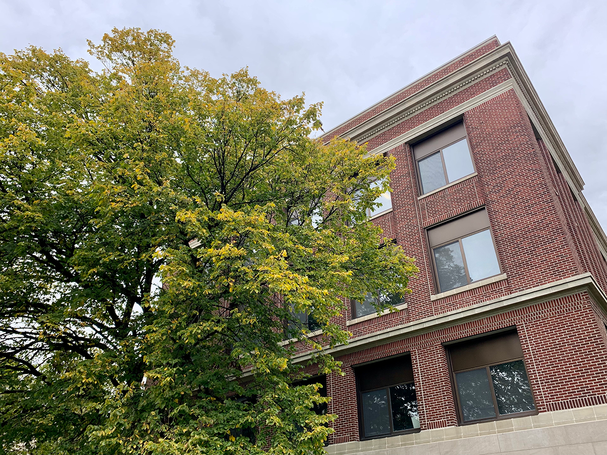 fall foliage by Hitchcock