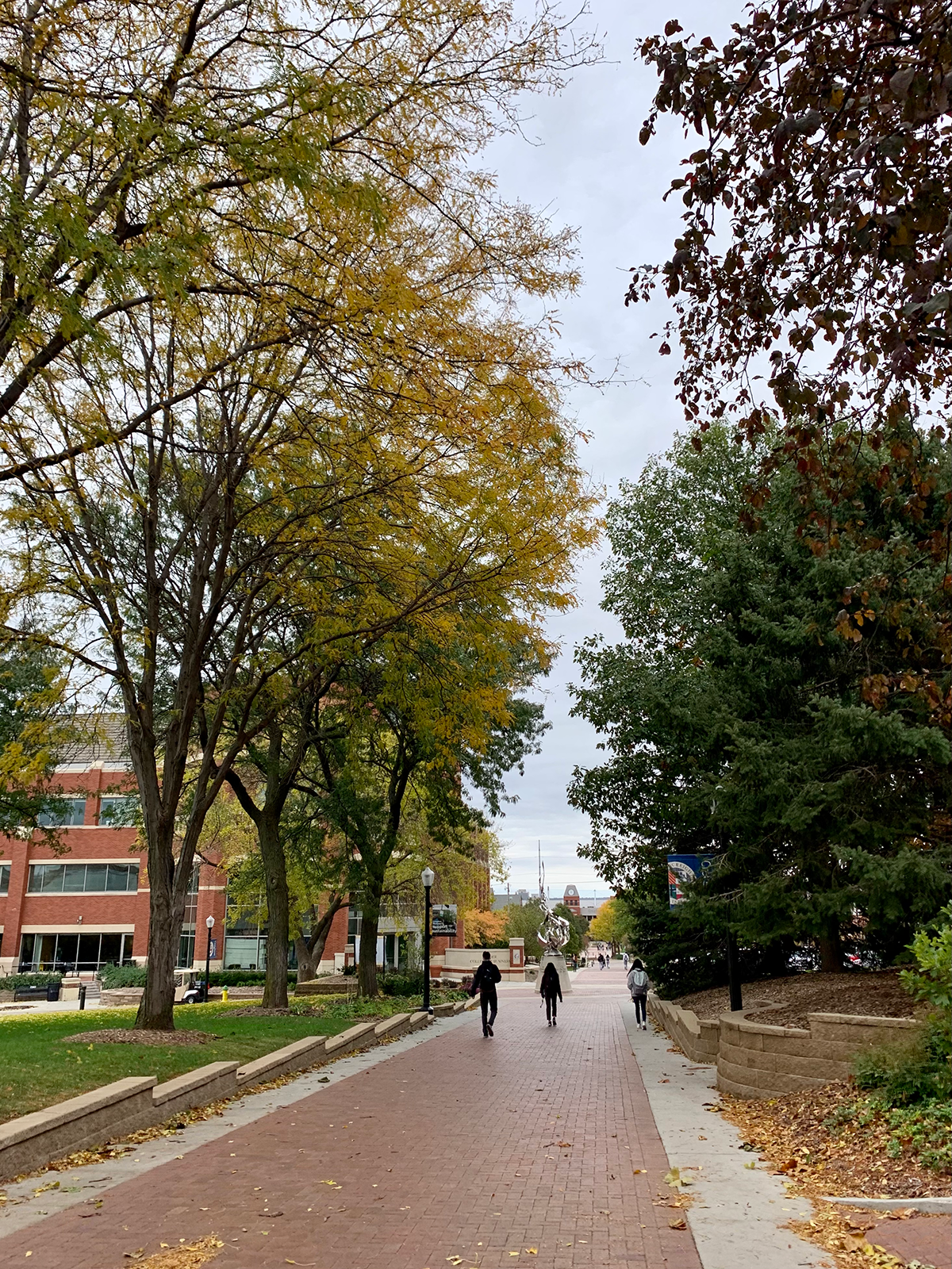 fall foliage on the Mall by the law school