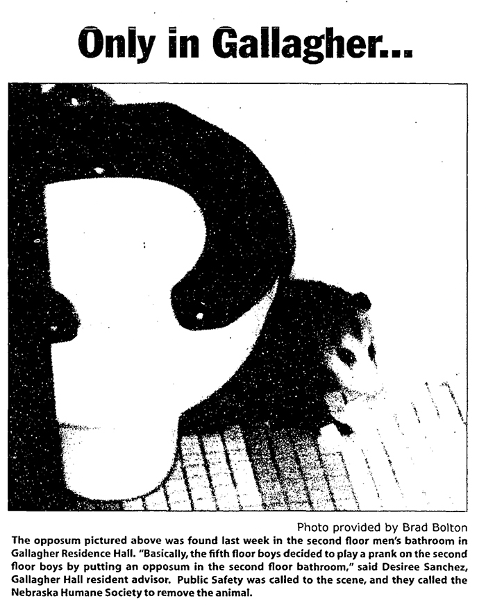 Image of Creightonian possum prank headline