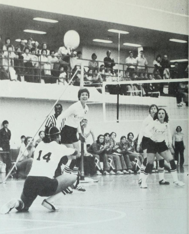 volleyball right