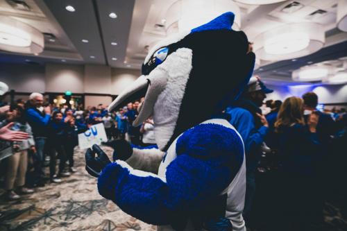 Billy Bluejay joins fans in a ballroom to cheer on the team