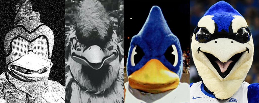 The coolest job I ever had was being a Toronto Blue Jays mascot