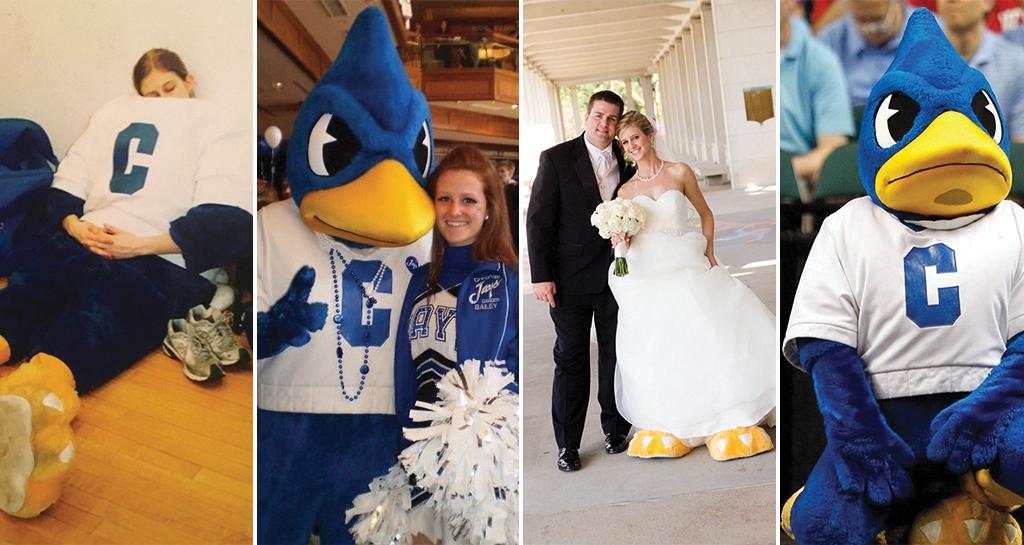 Main Billy Bluejay mascots image