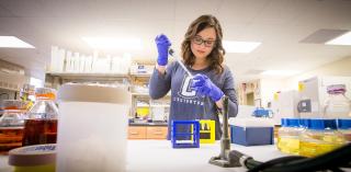 A student conducts research.