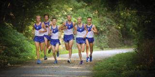 Male cross country athletes training.